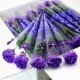 Гвозь (фиолетовые) 50 сгущаются