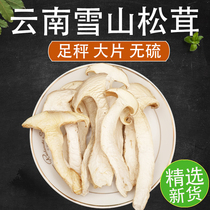 Yunnan Snow Mountain Matsutake Dried Products 500g White Matsutake Snow Mushroom Dried Mushroom Tablets Non-Wild Agaricus Matsutake Yunnan Mushroom Seeds