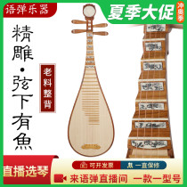 Language playing hedgehog shell carving red sandalwood pipa musical instrument children and adults professional grade examination playing piba mahogany rosewood big fruit