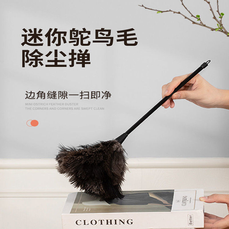 Feather Duster, Small Ostrich Feather Duster for Dust Removal, Feather Duster with Solid Wood Handle, Feather Broom, Performance Props, Cleaning
