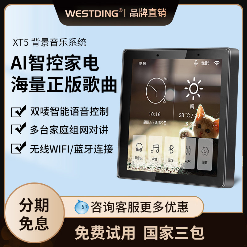 Wiestin xt5 Wireless Bluetooth Suction Top Sound Background Music Smallpox Ceiling Horn Embedded Shop Home