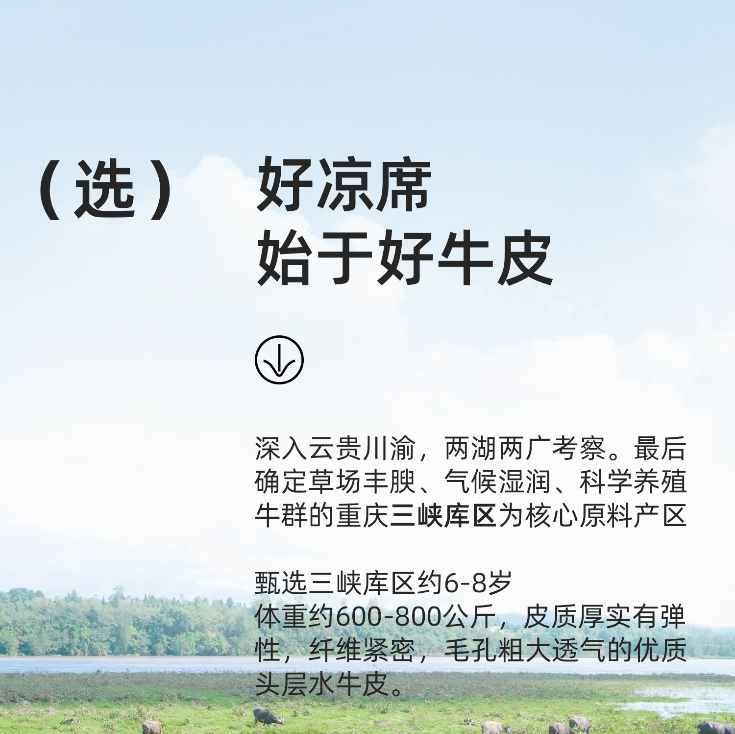 Кожаные сиденья 塔山牛皮凉席头层水牛皮纯真皮席子皮凉席彩绘软席三件套加厚免洗 Tashan