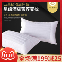 Hotel Bedding Star Hotel Buckwheat Pillow Core Pillow Hotel Pillow Hotel Pillow Padded F