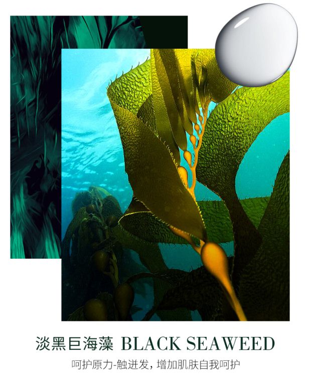 BAOM Karma Deep Sea Giant Algae Moisturising Body Lotion Moisturising Lotion Kem dưỡng ẩm Làm dịu da dưỡng ẩm cho nam và nữ - Kem dưỡng da dưỡng ẩm cerave