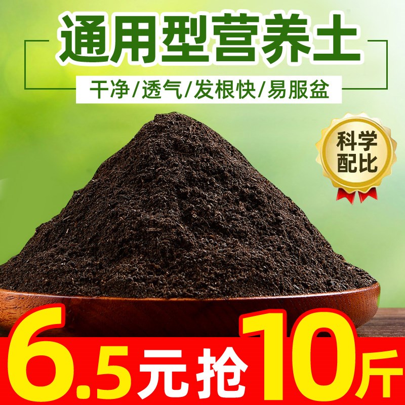 Grape Seedling Multipurpose Clay Potted Earth Golden Tangerine Soil Cultivation Earth Seedling Red Bean Tree Planting Nutritious Tufeng Pear Plum Blossom