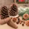 Christmas decoration natural pine cones plant dried flowers Photo props Home decorations Big pine cones DIY pine tower branches