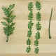 Simulated Fragrant Wood Leaves, Pepperwood, Baked Cake, Plastic Decorative Flowers and Plants, Drinks, Western Food, Japanese Food, Plating, DIY