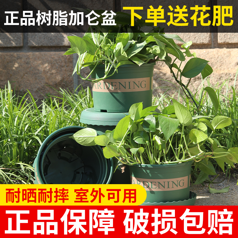 Flower Pot Plastic Gallon Basin Thickened control Root breathable Multi-meat Gold Ge balcony Home Flowers Moon Season Resin Basin Nordic