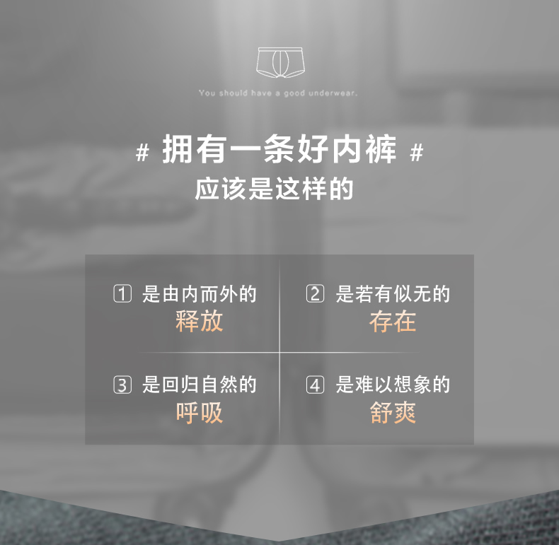 高端内衣品牌 爱慕先生 男士莫代尔混纺平角内裤 图2