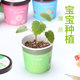 mic loa kéo Phòng ngủ văn phòng sáng tạo Máy tính để bàn Mini Dễ thương Cây trồng trong chậu Hoa nhỏ Cuộc sống cần thiết hàng ngày Cửa hàng bách hóa - Micrô mic at100
