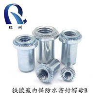 Waterproof seal rivet nut column B environmental protection blue and white zinc BS stainless steel BS4 stainless iron sealing nut M3-M8