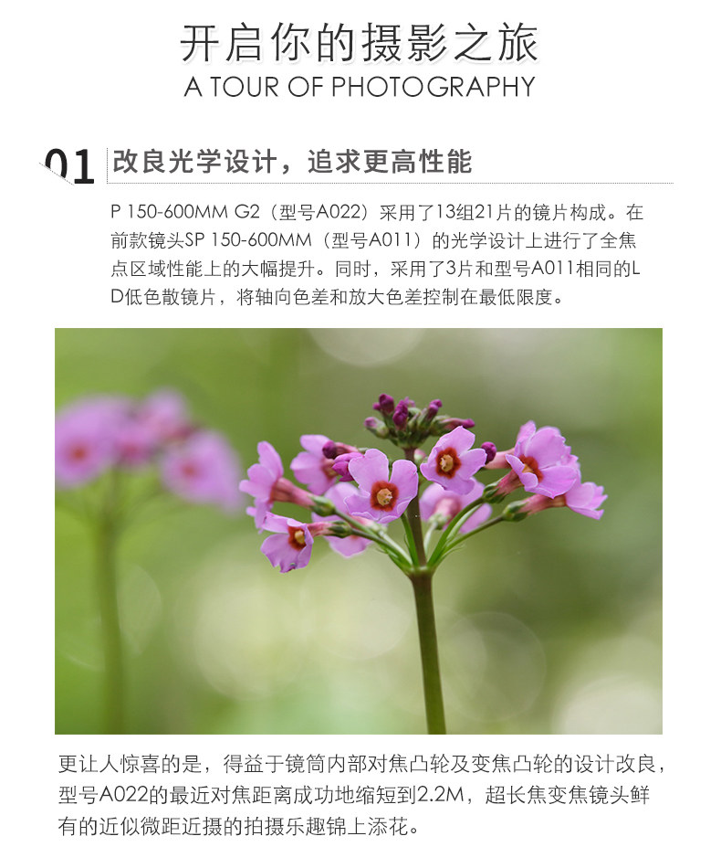 Gửi [Canon CP1300 Máy in + MCUV gương] Tamron 150-600mm G2 ổn định hình ảnh A022 siêu tele tele fowling chim ngắm trăng bắn SLR Lens Canon Nikon miệng - Máy ảnh SLR lens đa dụng cho canon fullframe