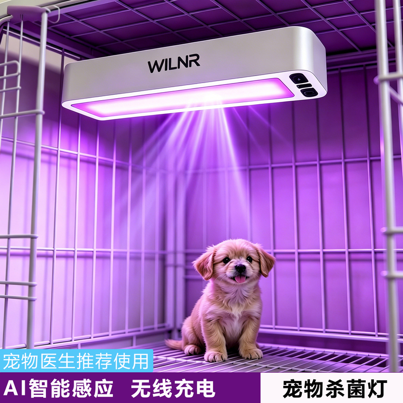 Ultraviolet Disinfection Lamp for Pets, Mite Removal, Household Use for Cats and Dogs, Smart Sterilization, Portable Uv Germicidal Lamp