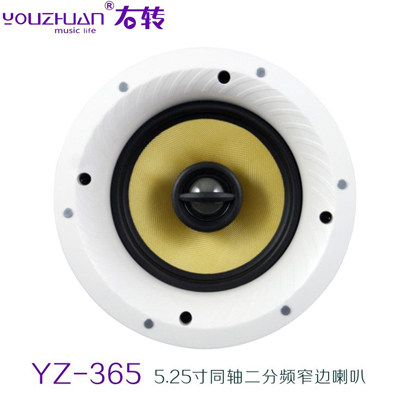 Youzhuan Summer Hornet Hornet Hornet Smart Home Sound Smart Sleeper Ceiling