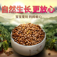 10 фунтов Mingzi (посвященное ядро ​​подушки ребенка)