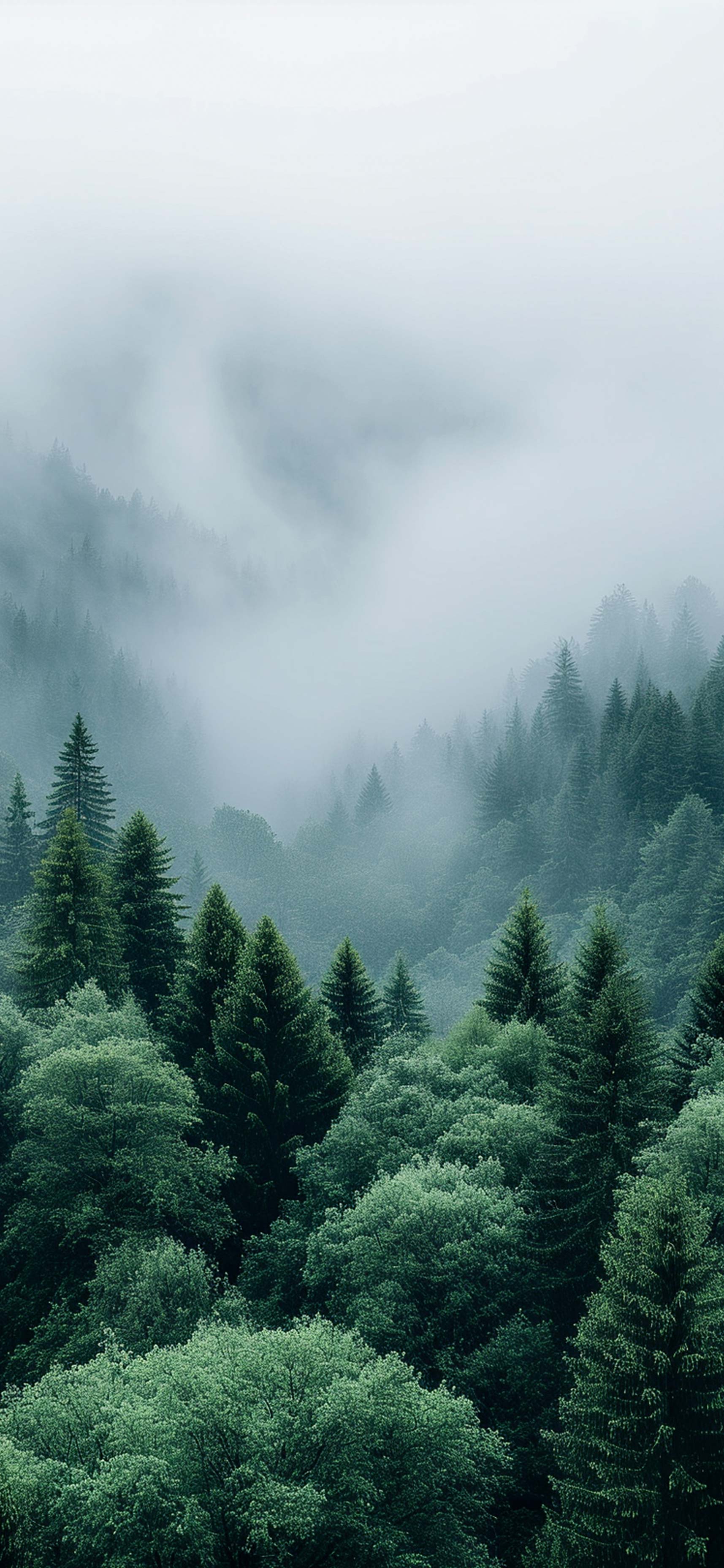山间迷雾森林 4K 手机壁纸｜森系绿色山林云雾自然风光锁屏背景