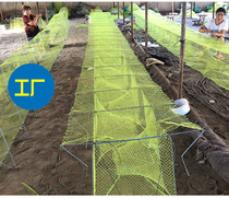 Shrimp cage fishing net automatic folding South American white prawn spot section shrimp River shrimp catch big stay small thickened curved wings knot shrimp catch