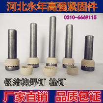 Factory direct supply spot steel structure welding nails cylindrical head shear nails bolt nails M16*60--M16*210