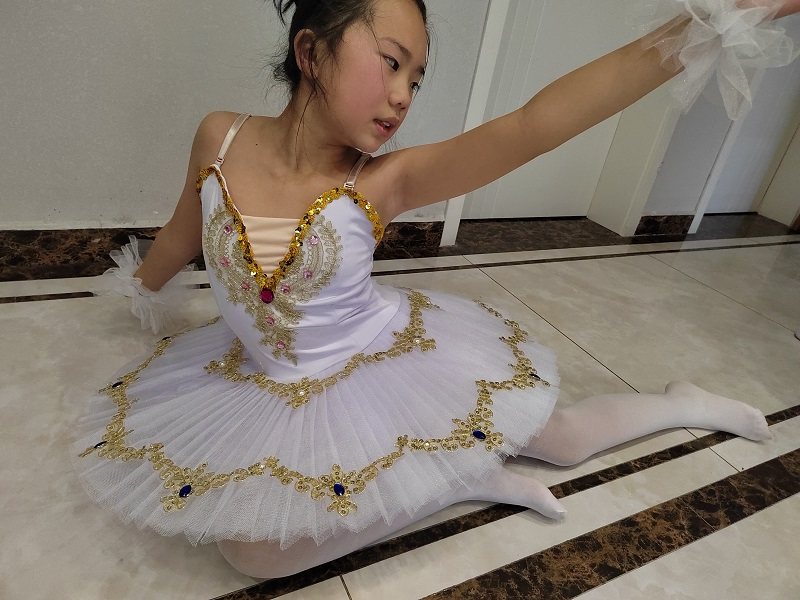 Girl Ballet Dresses Dance Dresses Children Small Swans Bright Pieces Performance Conserved Fluffy Dress New Toddlers Ballet Dresses