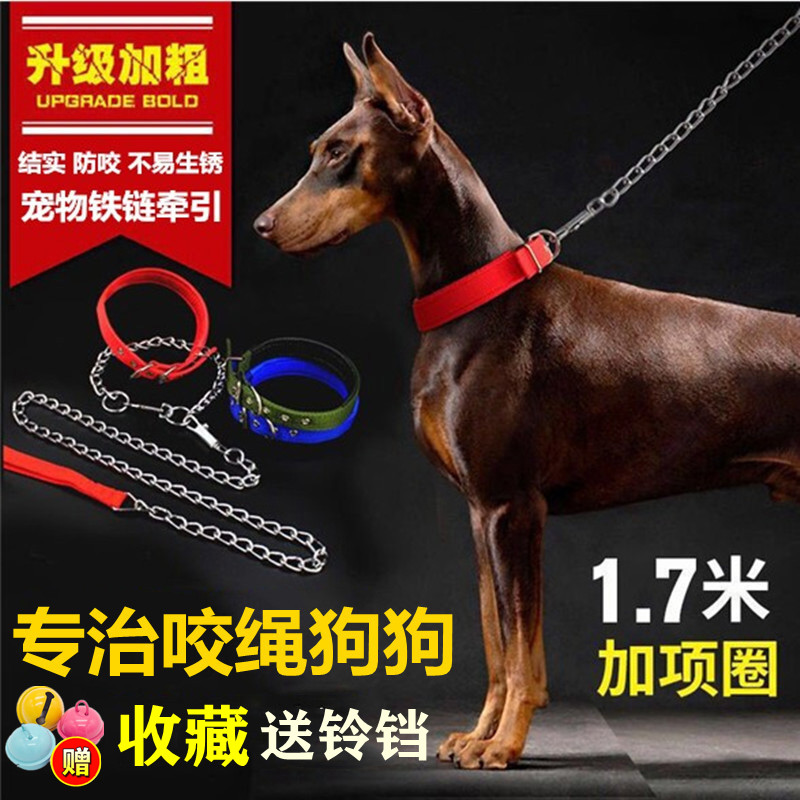 Walking Dog Traction Rope Vest Style Holding Dog Rope Chest Holding Baby Bag Small Large Canine Items Collar Dog Collar Dog Iron Necklace
