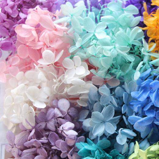 Yongshenghua Flower Flower Box Glass Cover Bride Headwear Hair Gift Box Flower Small Leaf Anna Hydrangea