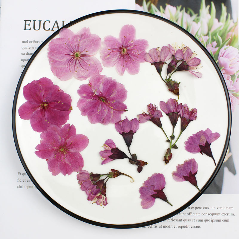 Haitang Flowers Cherry Blossom dried flower Flowers Specimen Diy Handmade Photo Frame Collage Time Gem Drop Glued Phone Shell Embossing-Taobao