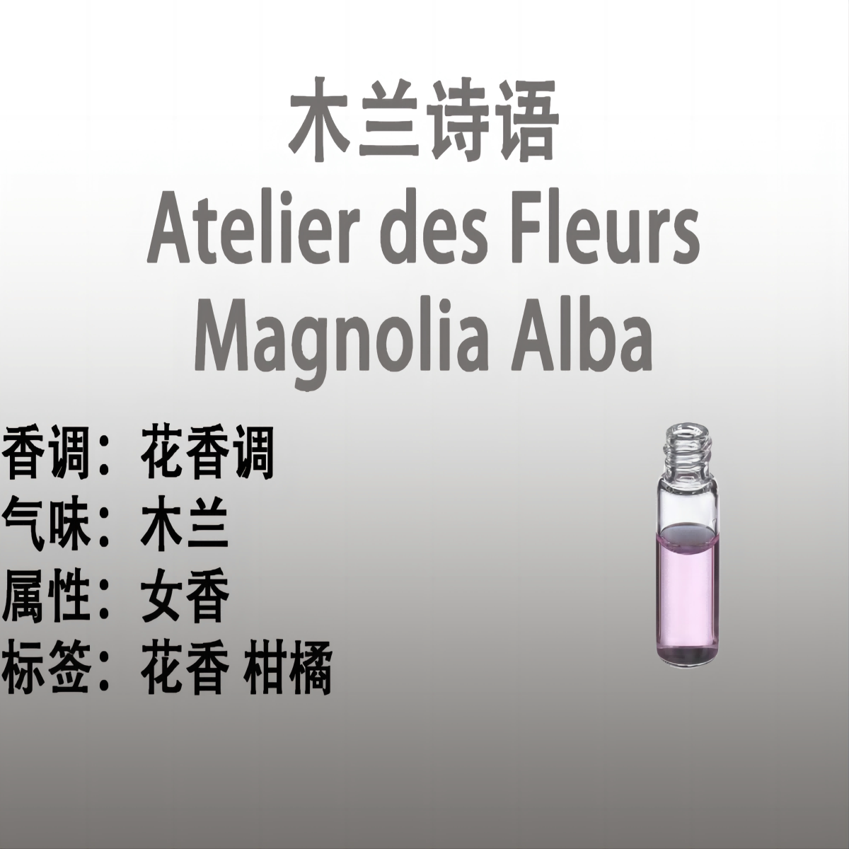 木兰诗语  Atelier des Fleurs Magnolia Alba