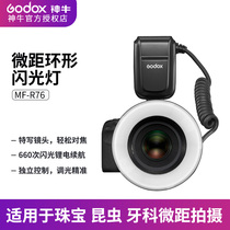 God Bull MF-R76 machine top flash Canon Sony ConfuersPhoto single anti-camera hot boot light