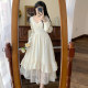 Plus size women's French slimming gentle court style jacquard lace dress autumn and winter cover belly dress long skirt