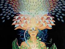 Fundamental Aromatherapy Qi 6 I Jingle the Compound Massage Oil 60ml Brow Three Eyes