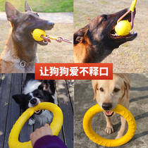 Dog toy ball Bite-resistant grinding teeth Medium and large dog Horse Dog German Shepherd Labrador Dog training supplies Boredom artifact