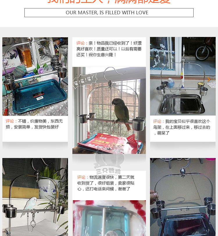 Vẹt thép không gỉ đứng chim nhỏ kệ chim lồng hổ da hoa mẫu đơn Xuanfeng nhỏ vẹt đứng vòng chân - Vòng chân lắc chân nữ bạc ta