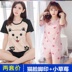 2 bộ quần short pajama giá thiết womens mất cartoon thường sinh viên tươi bông mùa hè mỏng. 