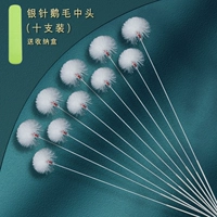 10 Серебряные серебряные гусиные палочки с серебряной иглой + ведро для хранения