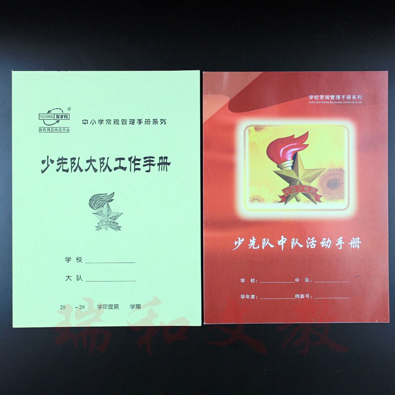 Primary School Less First Team Squadron Activities Working Manual Guangdong Team Squadron Activities Record Minutes This