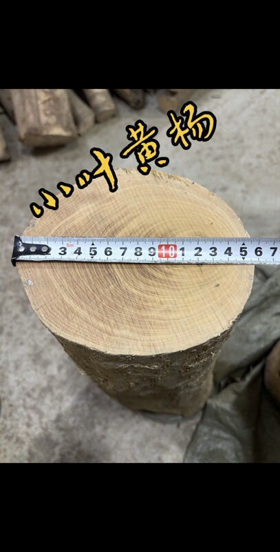 Small-Leaf Boxwood Wood Material, Raw Wood, Old Logs, Large Tree Segments, Wood Carving, DIY Hand-Carved Fortune-Enhancing Feng Shui Pillar