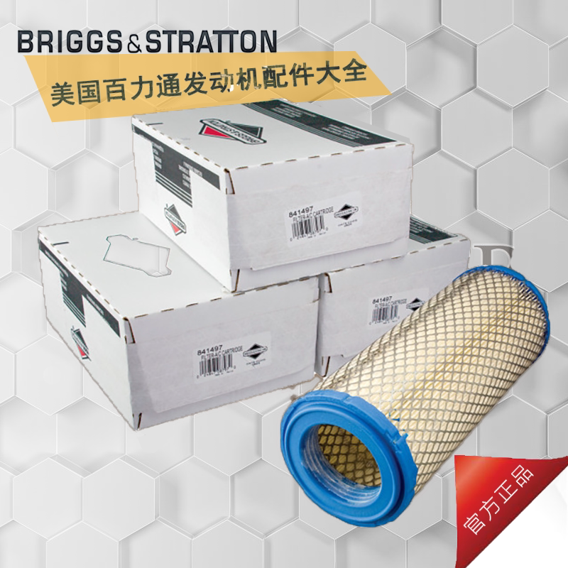 100 Force Through Petrol Engine Vanguard33HP31 Horsepower 35 Air Filter Core High Pressure Water Pump Rig Accessories