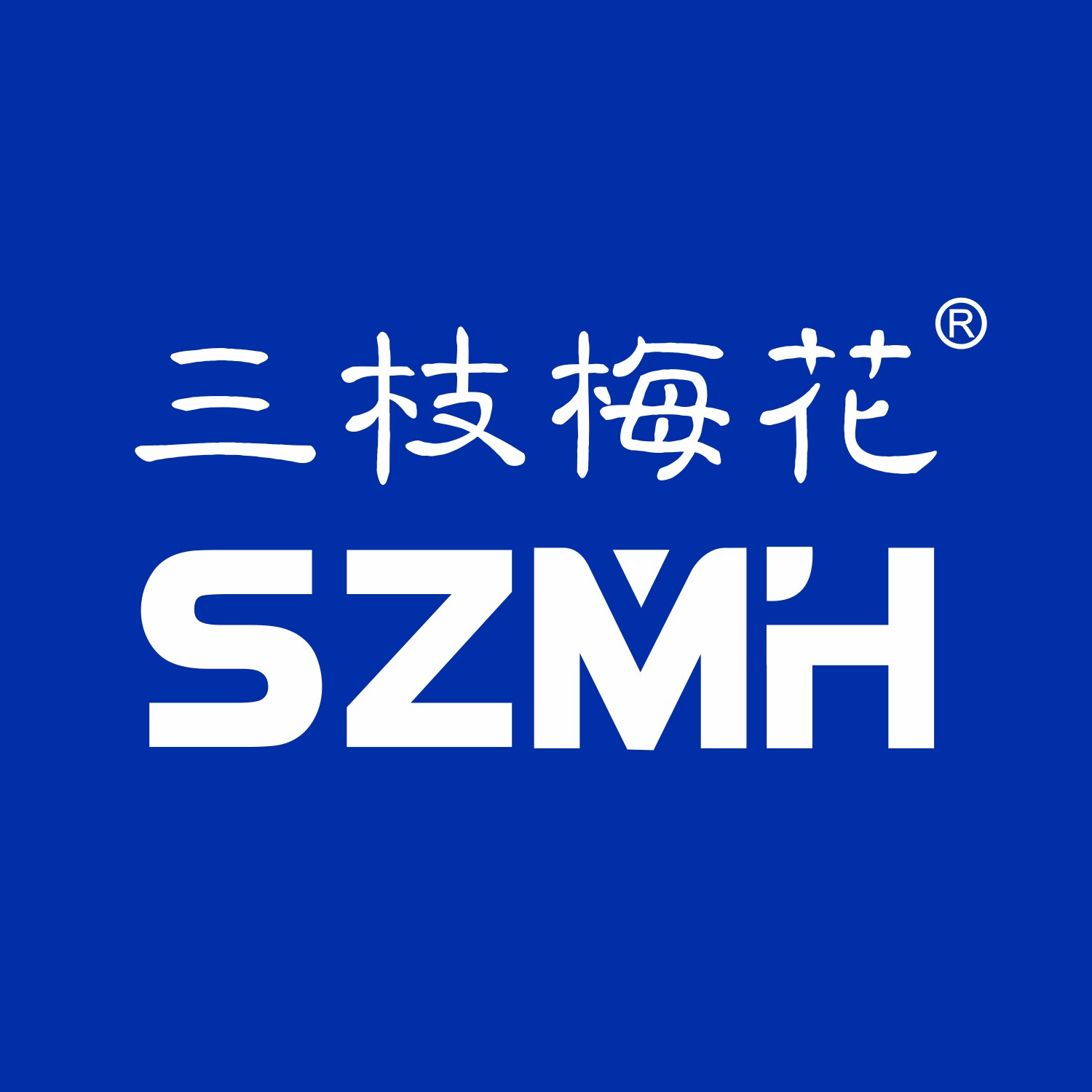 三枝梅花牌运动户外皇冠店