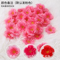 10 расцвета персика