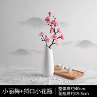 Xiooli pink+landwing xiaoshi bottle