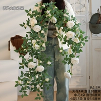 Возлюбленная роза ротан