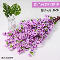 Длинная версия персикового цвета фиолетового цвета с 1 веткой