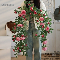 Возлюбленная розовая розовая розовая