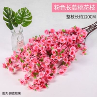 Длинная версия персикового цвета розового цвета 1 ветка