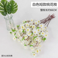 Короткий персик цветет белый 1 ветвь