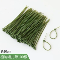 Стенная стеновая галстука 100 корней