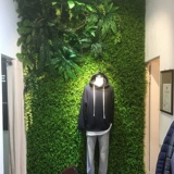 Настенные аксессуары с имитацией растений, настенные аксессуары с зелеными растениями, персидская соответствующая трава, настенная подвеска, зеленое украшение в помещении, фоновая стена для балкона