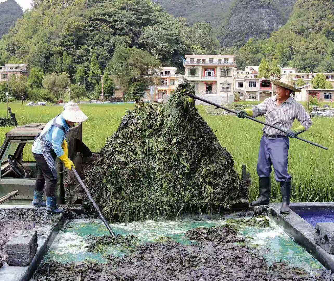 蓝靛体验包靛泥染色包靛膏草木染蓝染型糊染蜡染扎染免煮染色批发-阿里巴巴