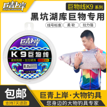 Juqing onshore giant object line main line sub-line import super soft strong pull does not roll nylon line large object line