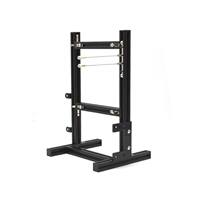 Black Itx Mini Model